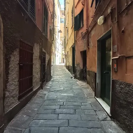 I Vezzi Di Vico Lavezzi *